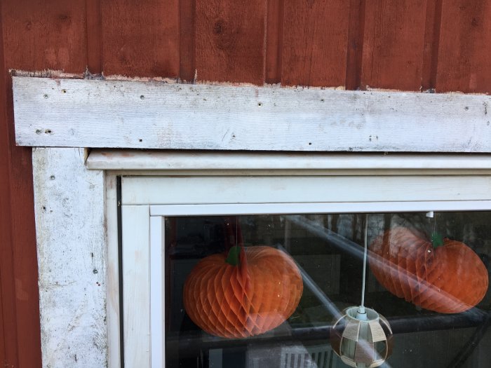 En delvis renoverad fönsterkarm med nytt träregel på en faluröd vägg med pumpor synliga inuti.
