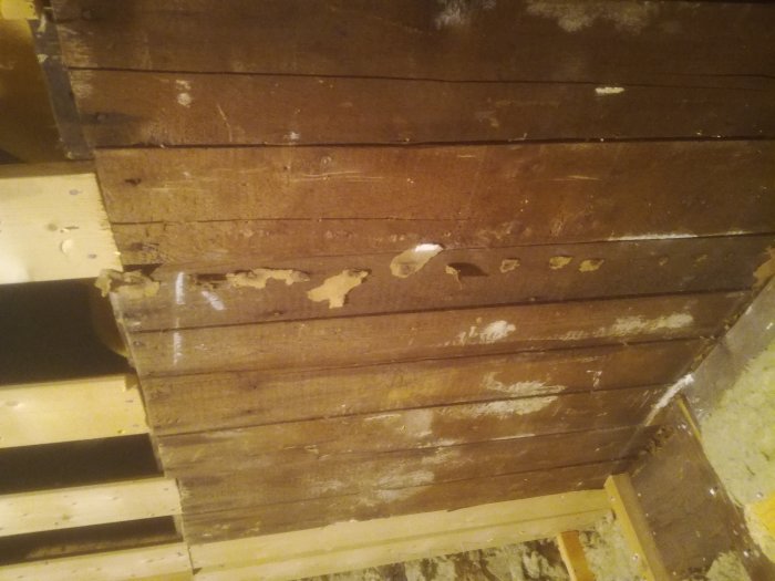 Gammalt träplank med vita fläckar nära en vägg i en renoveringsmiljö.