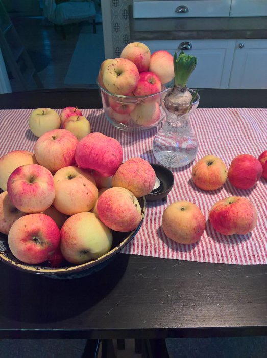 Äpplen i och bredvid en glasskål på ett randigt köksbord, en hyacint i en vattenkaraff i bakgrunden.