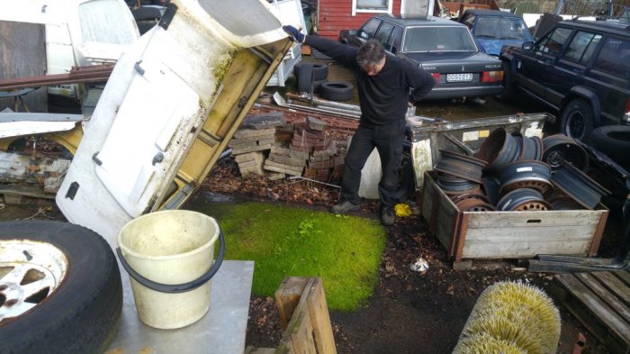 Man avtäcker gräsplätt vid verkstad bland bildelar och skrot, överraskad gest.