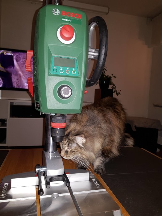 Bosch bänkborrmaskin PBD 40 med tving och digital djupmätare, undersöks av en katt på ett bord.