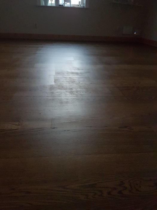 Morgonljus som faller på ett mörkt trägolv i ett sparsamt möblerat vardagsrum.