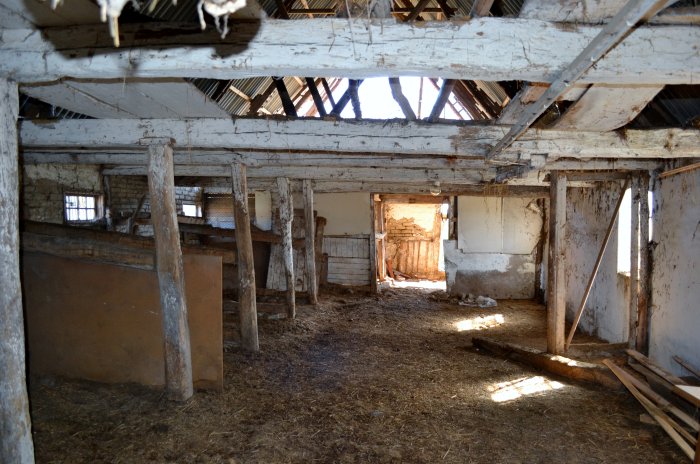 Gammal lada under ombyggnad med synliga träbjälkar, öppet tak och delvis rivna väggar.