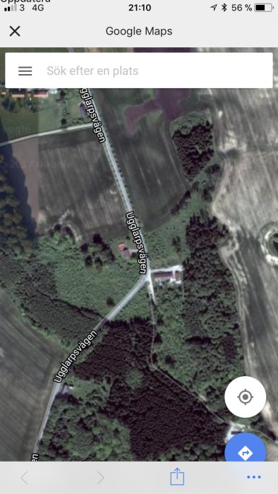 Skärmdump från Google Maps visar en satellitbild av en väg omgiven av träd och fält.