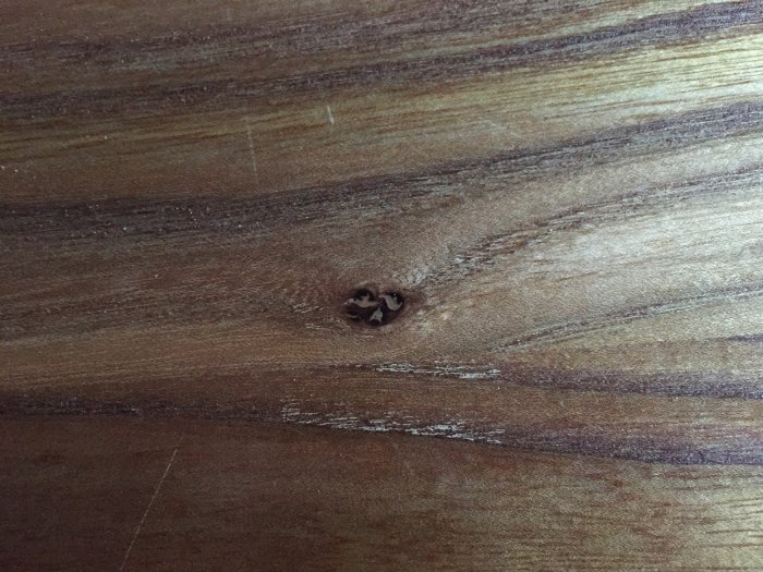 Närbild av en almträ yta med naturliga mönster och en synlig kvist, vilket ger kontext för spackling och ytbehandling.