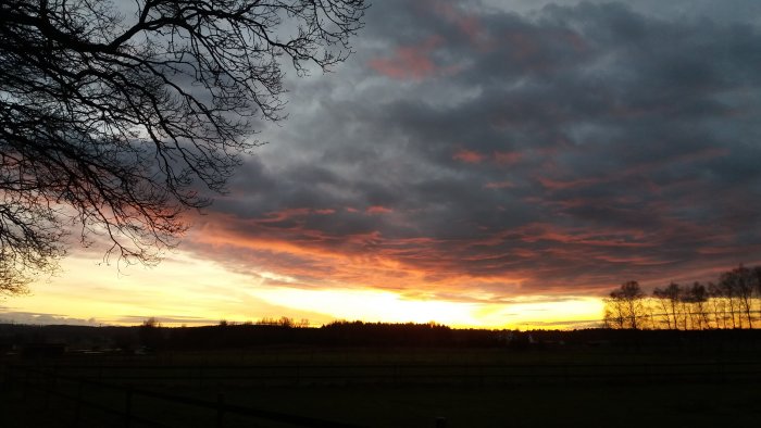 20171202_154419.jpg