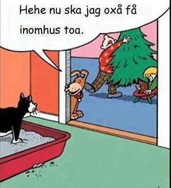 Seriebild där en katt tittar på en hund som gräver under julgran inomhus tillsammans med en mänsklig figur.