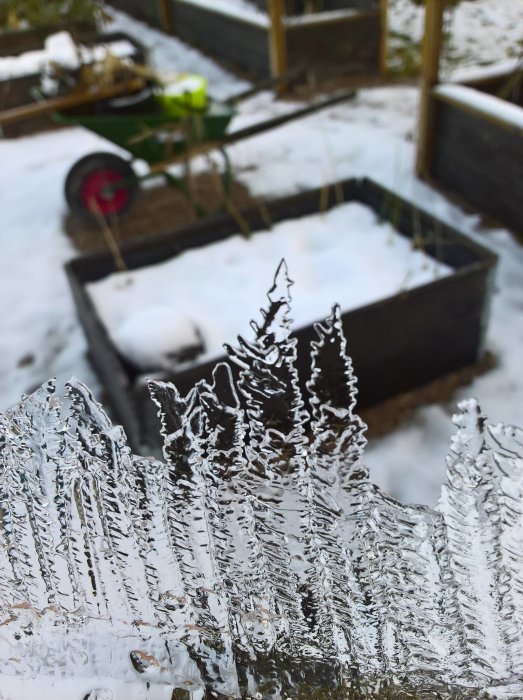 Nyskapad iskristall som liknar en blomma, med trädgårdsland och snö i bakgrunden.