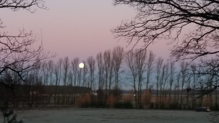 20171204_080514.jpg