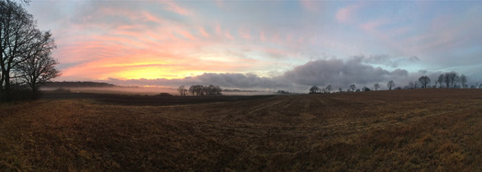 Panoramabild av en solnedgång över ett öppet fält med dramatisk himmel och träd i horisonten.