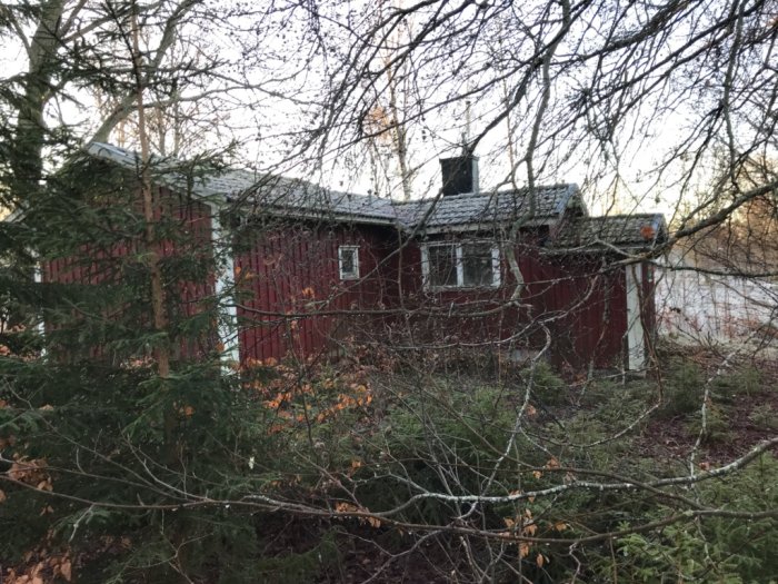 Nedgånget rött trähus med skorsten, dolt delvis av grenar, i sydsvensk lantlig miljö.