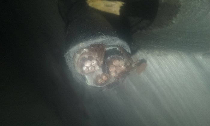 En genomskuren el-kabel med flera synliga kopparledare och isolering.
