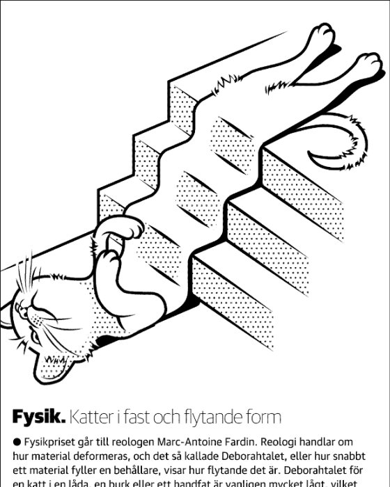 Illustration av en katt som smälter över trappsteg, kopplad till text om fysik och katters formbarhet.