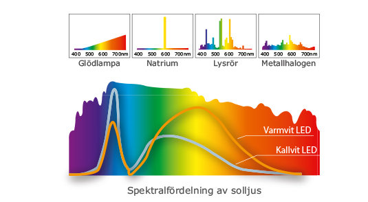 Graf över spektralfördelning för olika ljuskällor jämfört med solljus.