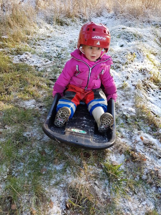 Barn i rosa jacka och hjälm sitter på en kälke på en lätt snöbeprydd gräsbacke.