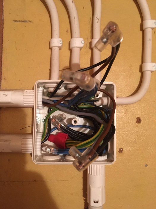 Öppen kopplingsdosa med elektriska kablar och anslutningar mot en gul vägg.
