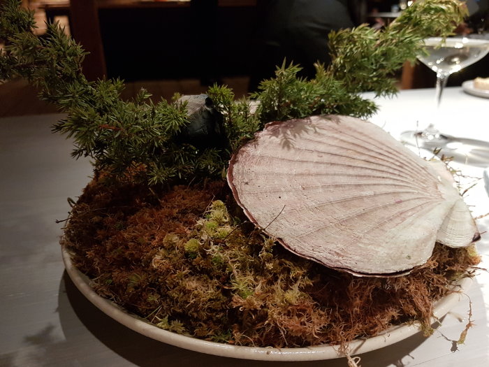 Stilfull servering av musslor på en tallrik med mossa och grenar, toppad med en mussla som lock.