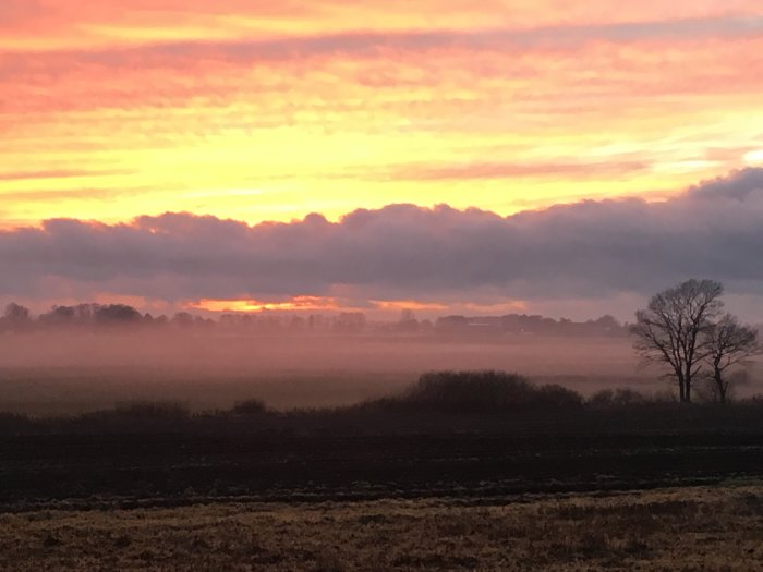 Soluppgång med färgglad himmel över dimmigt landskap med träd och öppna fält.