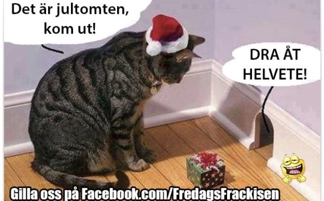 Katt med tomteluva tittar på en julklapp, humoristiska pratbubblor och text "Gilla oss på Facebook/FredagsFräckisen".