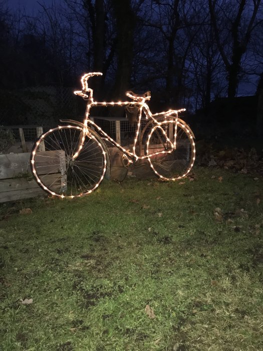 Gamal cykel dekorerad med blinkande julbelysning står på en gräsmatta i skymningen.