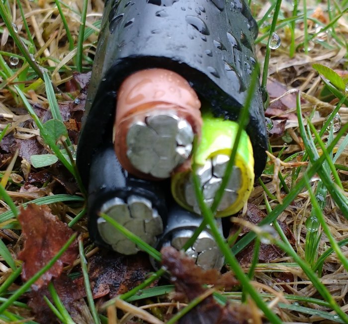 Närbild av en el-kabel med exponerade färgkodade trådar, blött gräs i bakgrunden.