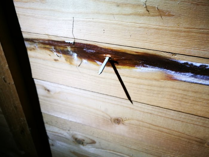 Fuktspår runt en spik i en träbjälke på en vind.
