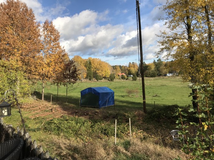 Skogstomt med stubbar efter borttagna granar, hus i bakgrunden, blått tältliknande förråd, höstfärger.