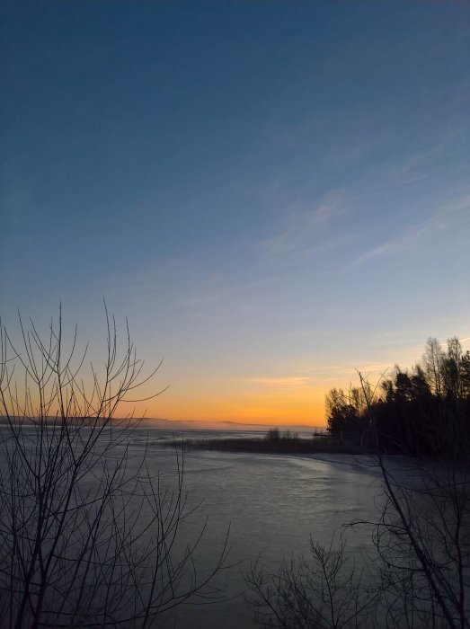 Soluppgång över en frusen sjö med silhuetter av träd och buskar.