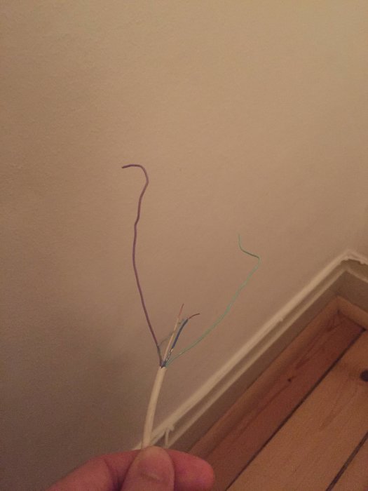 En hand håller en frilagd flertrådig kabel med exponerade färgade ledare mot en vägg.
