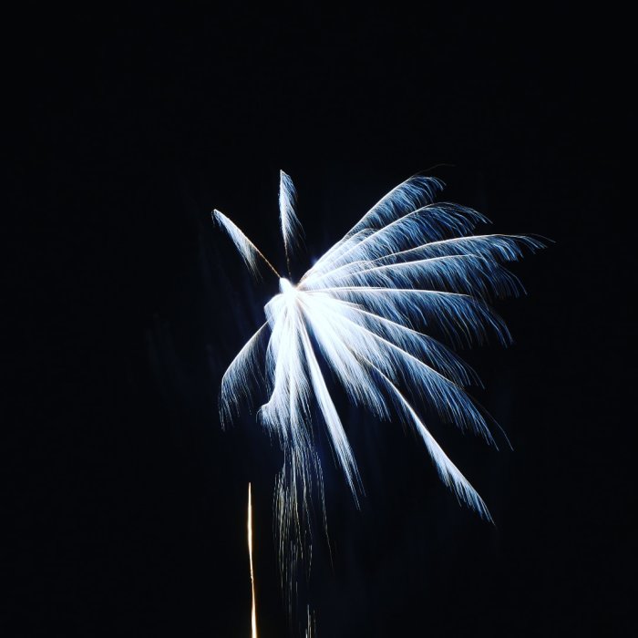 Ljusblått fyrverkeri mot mörk nattbakgrund som sprakar ut i ett fläktmönster.