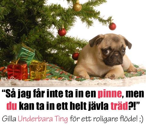 Mops ligger framför julgran med paket och texten "Så jag får inte ta in en pinne, men du kan ta in ett helt jävla träd?!