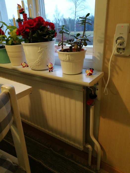 Radiator under fönster med blommor och juldekorationer på fönsterbrädan i ett gammalt hus.