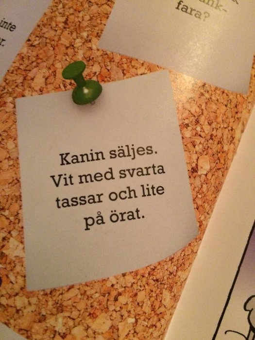 Anslag med text "Kanin säljes. Vit med svarta tassar och lite på örat." fäst med grön knappnål på korktavla.