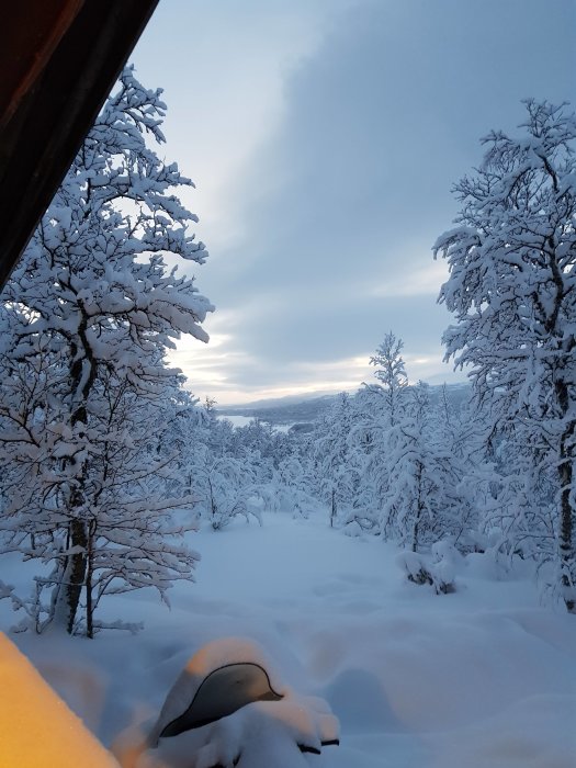 Vinterutsikt med snötäckta träd och mark sedd från stugfönster vid gryning eller skymning.