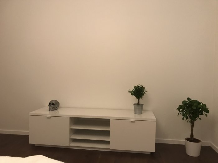 Halvfärdigt rum med vit tv-bänk, en dödskalledekor, två krukväxter och vit vägg bakom.