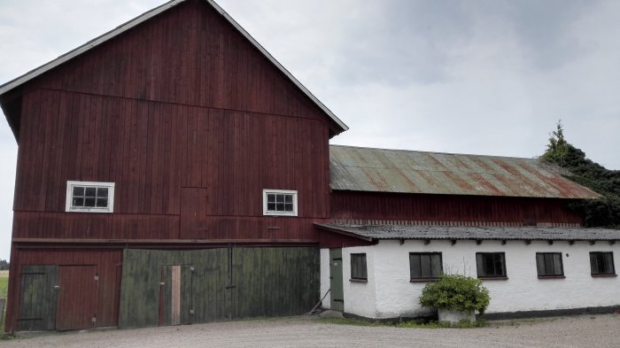 Gammal röd ladugård med gröna dörrar intill renoveringsbehovande vit byggnad med rostigt tak, omgiven av grusplan.