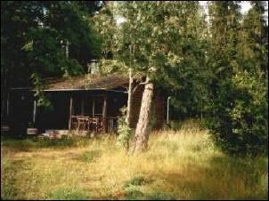 Fritidshus omgivet av grönska med en veranda, synligt i skogen på en solig dag.