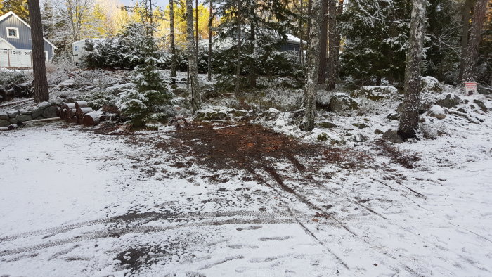 Tömning av vedförrådsplats med snötäckt mark och träd i bakgrunden.