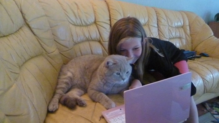 Flicka och katt tittar på en laptop på en gul soffa.