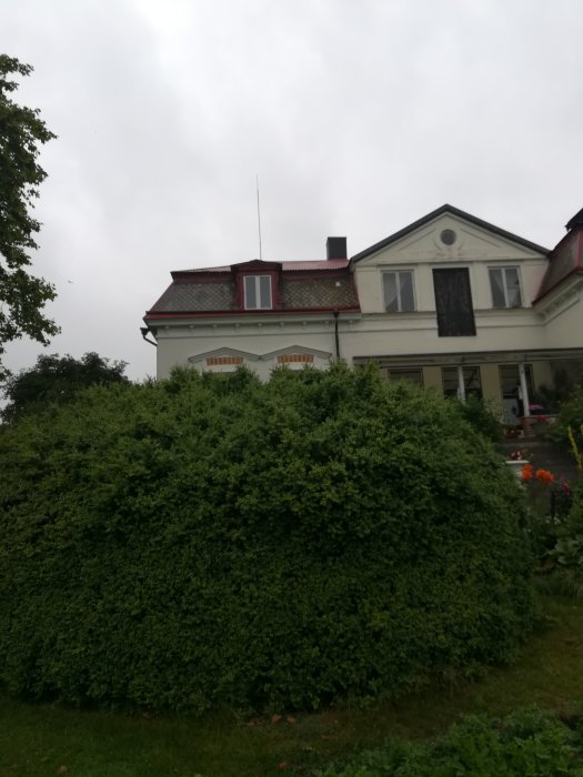 Ståtligt vitmålat hus med rött tak och nya fönster skymtas bakom en tät, stor grön häck i trädgården.