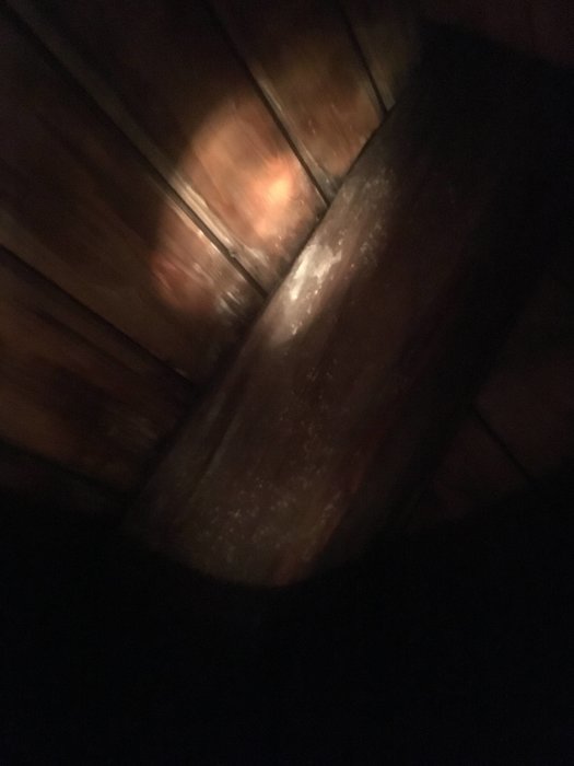 80E59393-0083-4106-9DEB-ED30894CC568.jpeg