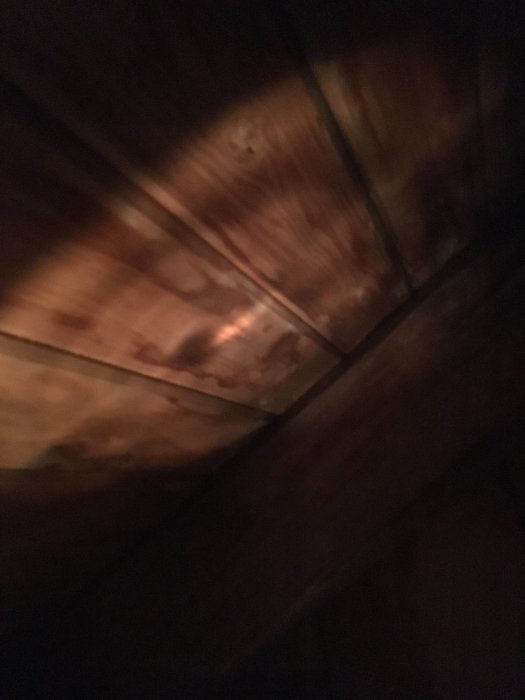 407C91DD-CF04-4310-94FD-9AC0CE3B756C.jpeg