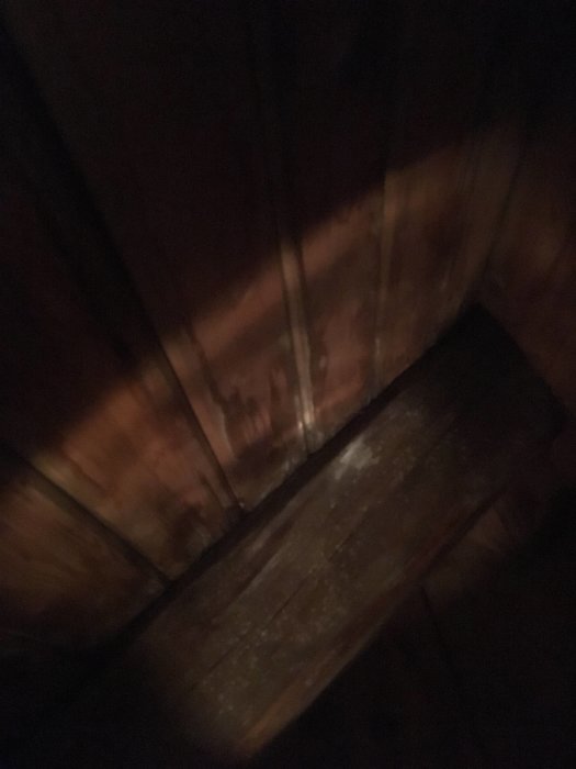 EE1DCE99-253D-43C7-881C-273915735599.jpeg
