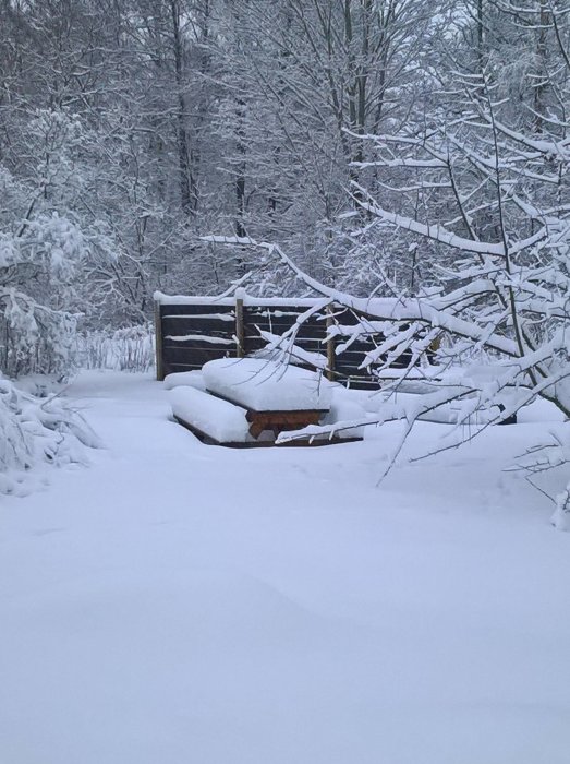 Vinterlandskap med tjockt snötäcke på träd och mark, och ett snööverdraget bord i förgrunden.