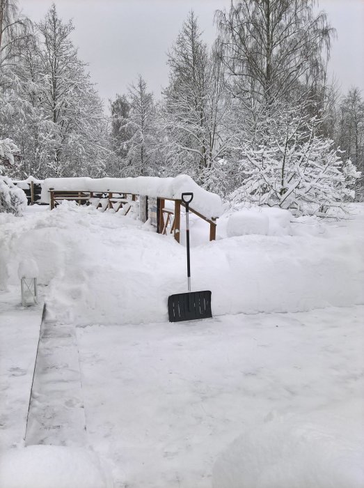 Snöröjning i trädgården med snöskyffel och tjockt snötäcke på marken och träd.