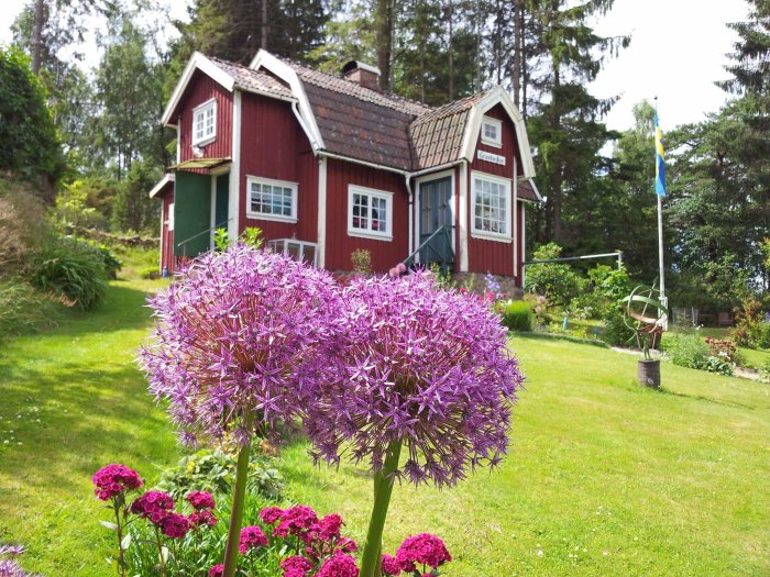 Tradionellt rött svenskt sommarhus med vita knutar omgivet av grönskande trädgård och blommande växter i förgrunden.