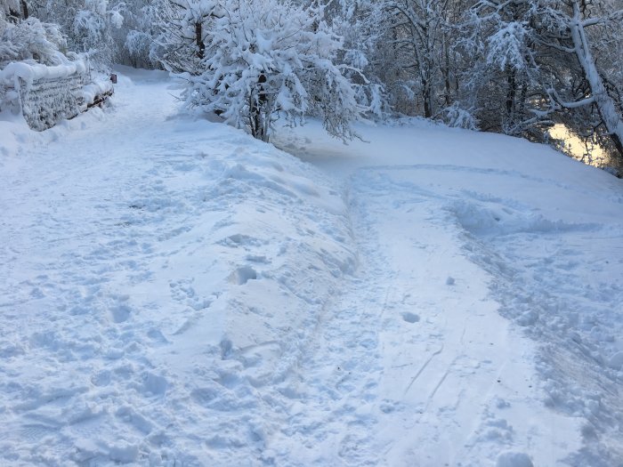 Snötäckt infart med skottad väg som visar konturerna av en planerad trädgårdsmur.