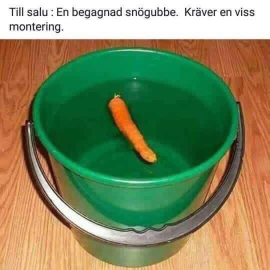 Grön hink med en morot i, humoristisk text om försäljning av en begagnad "snögubbe" som kräver montering.