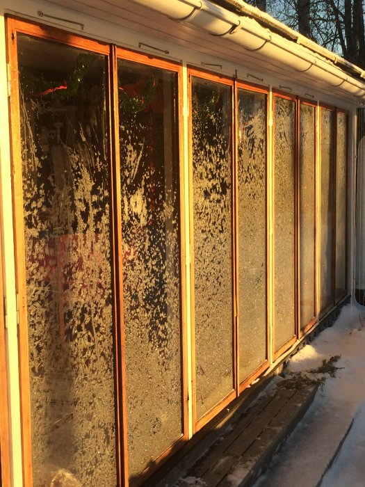 Isbildning på insidan av fönster i ett växthus under en kall vinterdag.