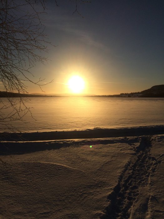 Vinterlandskap med solen lågt över horisonten, snö och fotspår, Övik.